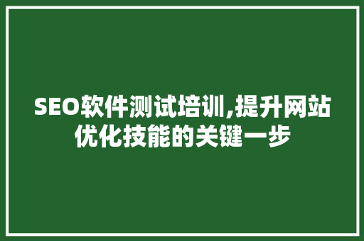 SEO软件测试培训,提升网站优化技能的关键一步