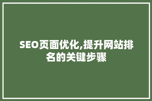 SEO页面优化,提升网站排名的关键步骤