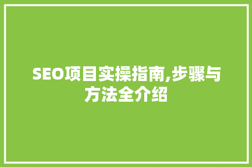 SEO项目实操指南,步骤与方法全介绍