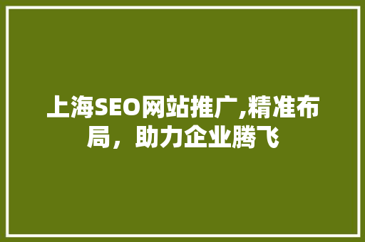 上海SEO网站推广,精准布局，助力企业腾飞