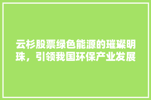 云杉股票绿色能源的璀璨明珠，引领我国环保产业发展新篇章
