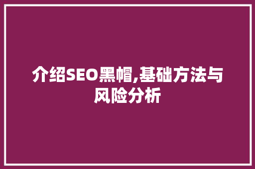 介绍SEO黑帽,基础方法与风险分析