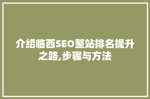 介绍临西SEO整站排名提升之路,步骤与方法