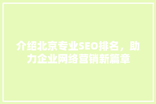 介绍北京专业SEO排名，助力企业网络营销新篇章