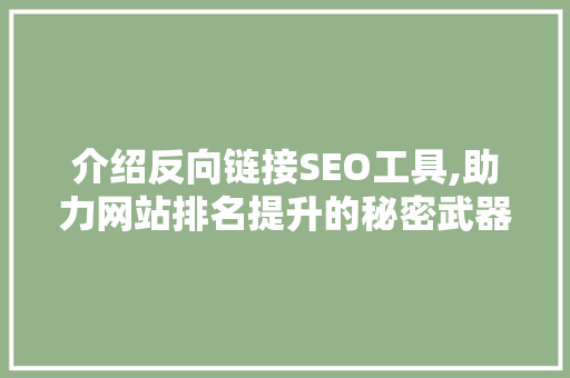 介绍反向链接SEO工具,助力网站排名提升的秘密武器