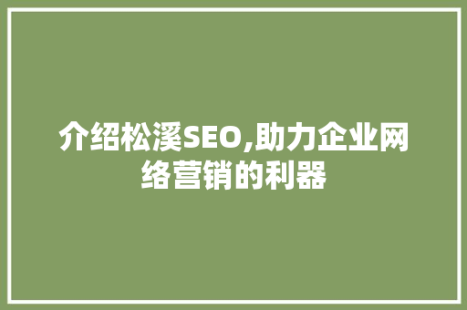 介绍松溪SEO,助力企业网络营销的利器