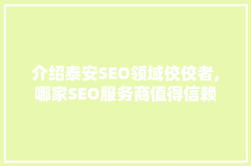 介绍泰安SEO领域佼佼者,哪家SEO服务商值得信赖