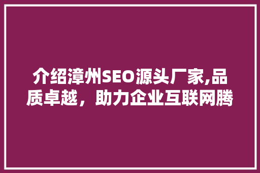 介绍漳州SEO源头厂家,品质卓越，助力企业互联网腾飞