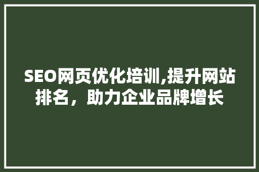 SEO网页优化培训,提升网站排名，助力企业品牌增长