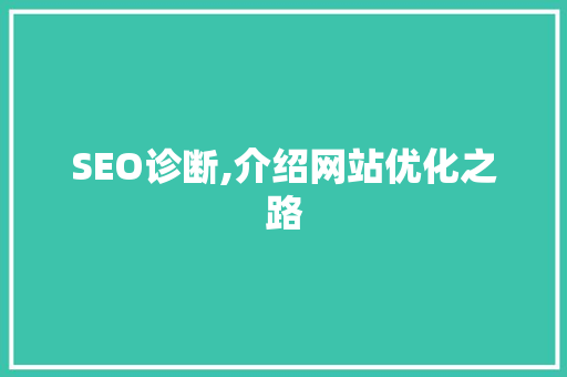SEO诊断,介绍网站优化之路