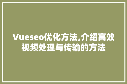 Vueseo优化方法,介绍高效视频处理与传输的方法
