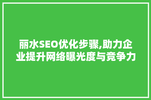 丽水SEO优化步骤,助力企业提升网络曝光度与竞争力