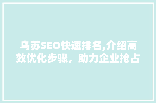 乌苏SEO快速排名,介绍高效优化步骤，助力企业抢占互联网高地