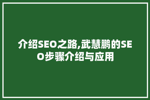 介绍SEO之路,武慧鹏的SEO步骤介绍与应用
