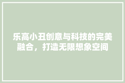 乐高小丑创意与科技的完美融合，打造无限想象空间