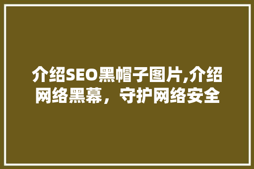 介绍SEO黑帽子图片,介绍网络黑幕，守护网络安全