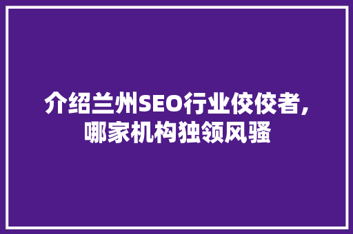 介绍兰州SEO行业佼佼者,哪家机构独领风骚