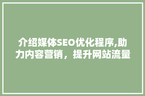 介绍媒体SEO优化程序,助力内容营销，提升网站流量与影响力