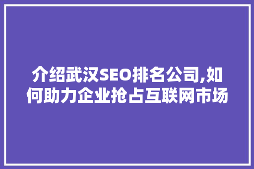 介绍武汉SEO排名公司,如何助力企业抢占互联网市场制高点