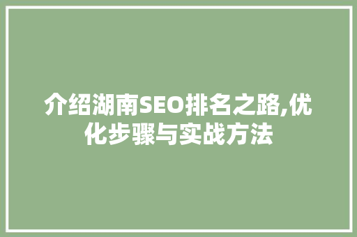 介绍湖南SEO排名之路,优化步骤与实战方法