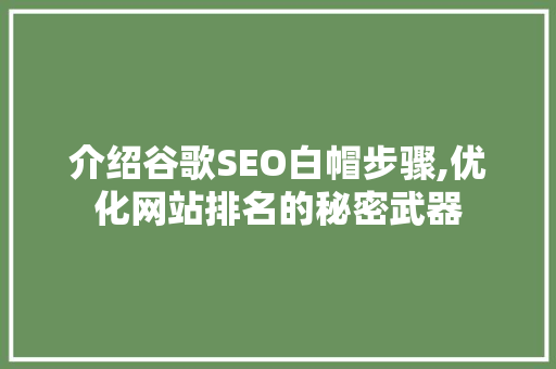 介绍谷歌SEO白帽步骤,优化网站排名的秘密武器