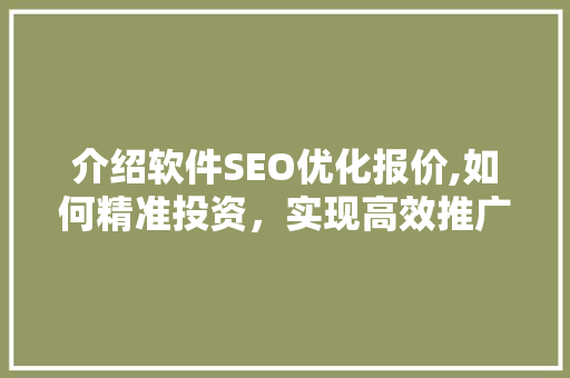 介绍软件SEO优化报价,如何精准投资，实现高效推广