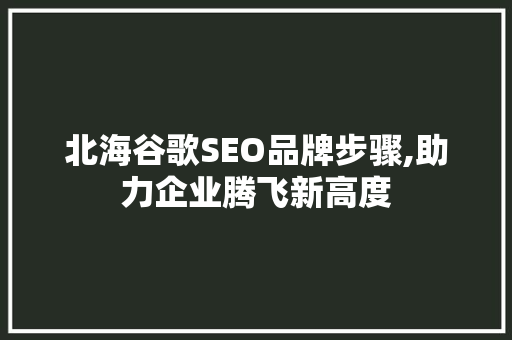 北海谷歌SEO品牌步骤,助力企业腾飞新高度