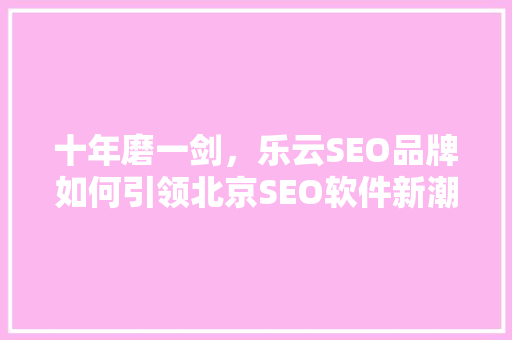 十年磨一剑，乐云SEO品牌如何引领北京SEO软件新潮流