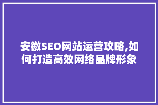 安徽SEO网站运营攻略,如何打造高效网络品牌形象