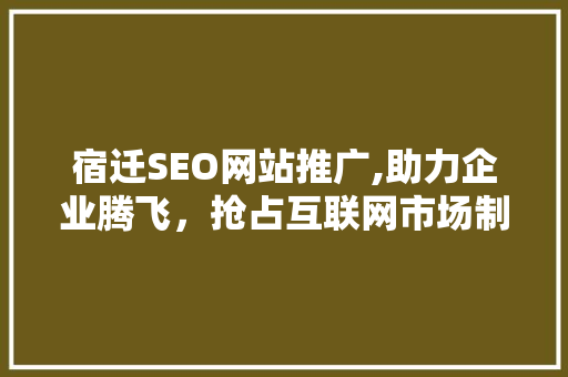 宿迁SEO网站推广,助力企业腾飞，抢占互联网市场制高点