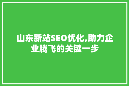 山东新站SEO优化,助力企业腾飞的关键一步