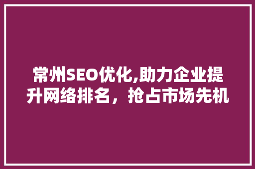 常州SEO优化,助力企业提升网络排名，抢占市场先机