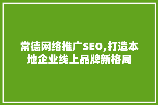 常德网络推广SEO,打造本地企业线上品牌新格局