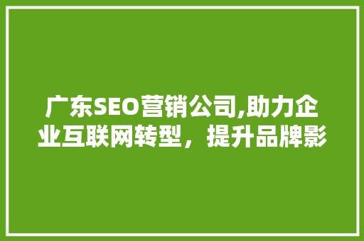 广东SEO营销公司,助力企业互联网转型，提升品牌影响力
