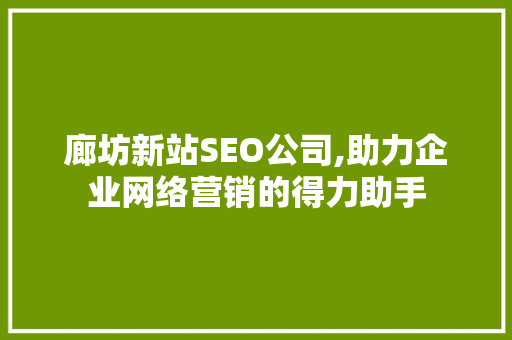 廊坊新站SEO公司,助力企业网络营销的得力助手