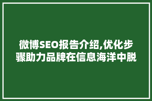 微博SEO报告介绍,优化步骤助力品牌在信息海洋中脱颖而出
