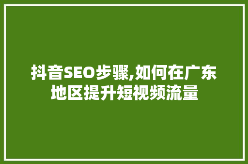 抖音SEO步骤,如何在广东地区提升短视频流量