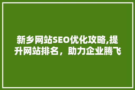 新乡网站SEO优化攻略,提升网站排名，助力企业腾飞