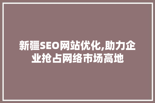 新疆SEO网站优化,助力企业抢占网络市场高地