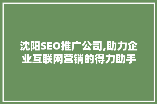 沈阳SEO推广公司,助力企业互联网营销的得力助手