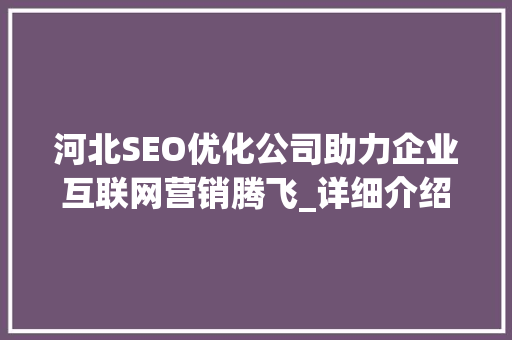 河北SEO优化公司助力企业互联网营销腾飞_详细介绍SEO优化之路