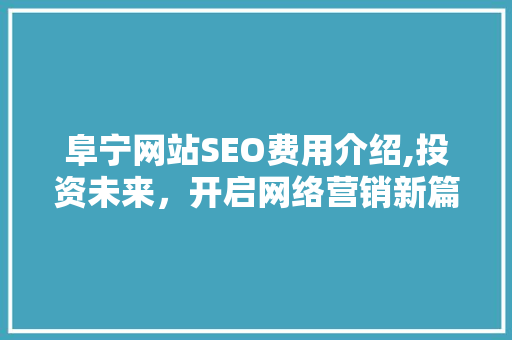 阜宁网站SEO费用介绍,投资未来，开启网络营销新篇章