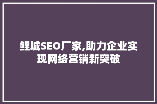 鲤城SEO厂家,助力企业实现网络营销新突破