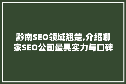 黔南SEO领域翘楚,介绍哪家SEO公司最具实力与口碑