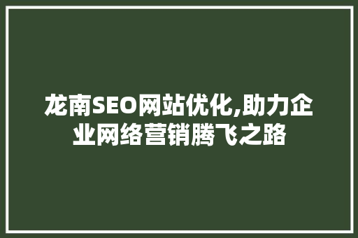 龙南SEO网站优化,助力企业网络营销腾飞之路