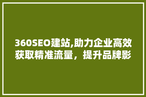 360SEO建站,助力企业高效获取精准流量，提升品牌影响力