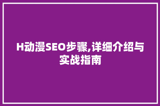 H动漫SEO步骤,详细介绍与实战指南