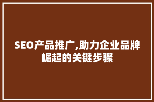 SEO产品推广,助力企业品牌崛起的关键步骤