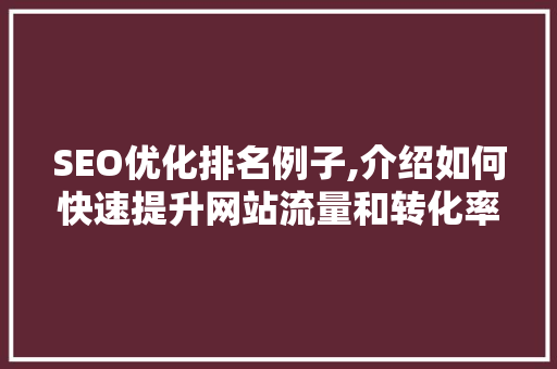 SEO优化排名例子,介绍如何快速提升网站流量和转化率
