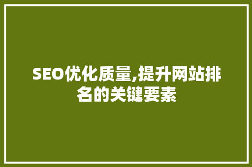 SEO优化质量,提升网站排名的关键要素